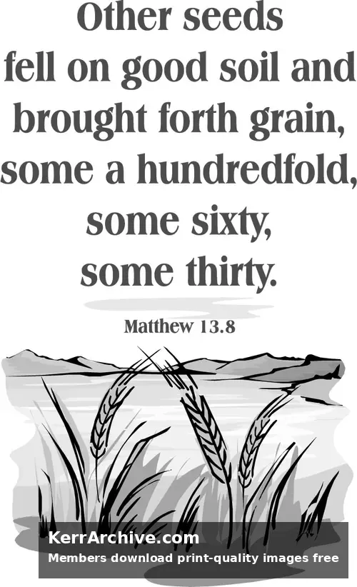 Year A After Pentecost Proper 10 (grayscale)