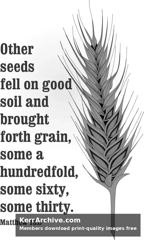Year A After Pentecost Proper 10 (grayscale)