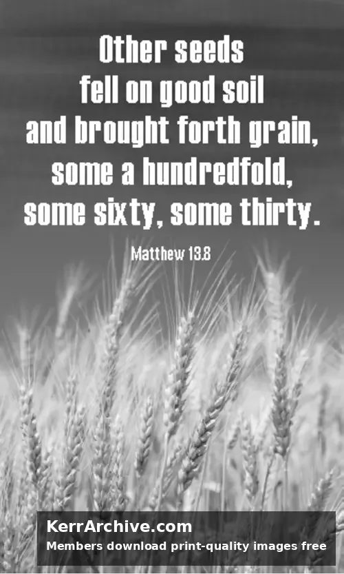 Year A After Pentecost Proper 10 (grayscale)
