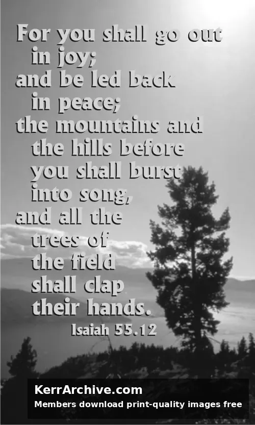 Year A After Pentecost Proper 10 (grayscale)