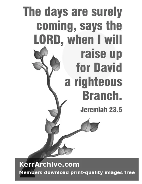 Year B After Pentecost Proper 11 — Jeremiah 23:5 (grayscale)