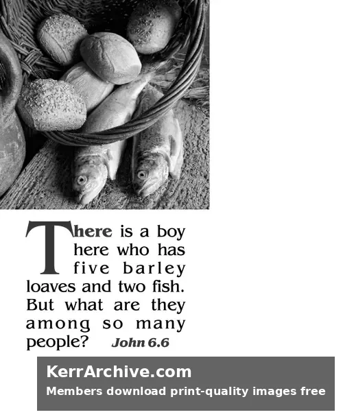 Year B After Pentecost Proper 12 — John 6:6 (grayscale)