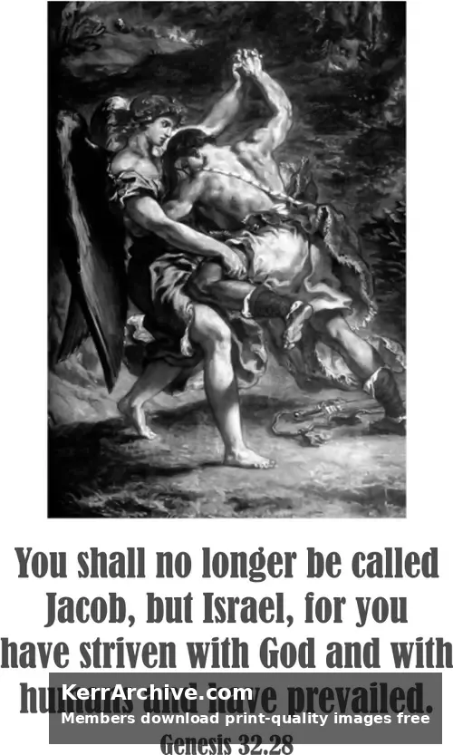 Year A After Pentecost Proper 13 (grayscale)
