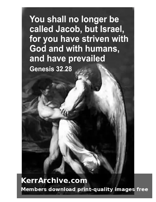 Year A After Pentecost Proper 13 — Genesis 32:28 (grayscale)