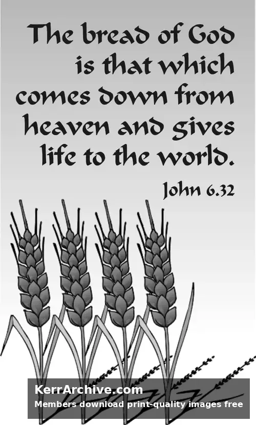 Year B After Pentecost Proper 13 (grayscale)