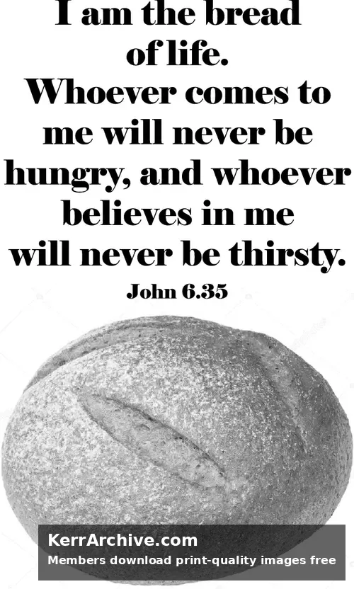 Year B After Pentecost Proper 13 — John 6:35 (grayscale)