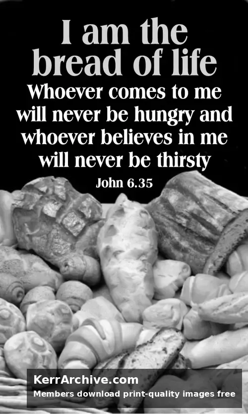 Year B After Pentecost Proper 13 — John 6:35 (grayscale)