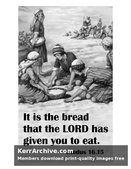 Year B After Pentecost Proper 13 — Exodus 16:15 (grayscale)