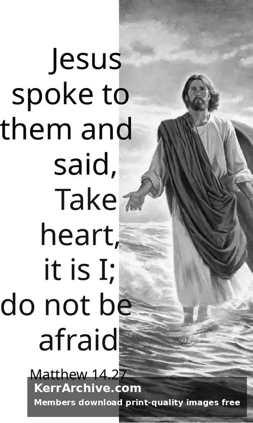 Year A After Pentecost Proper 14 (grayscale)
