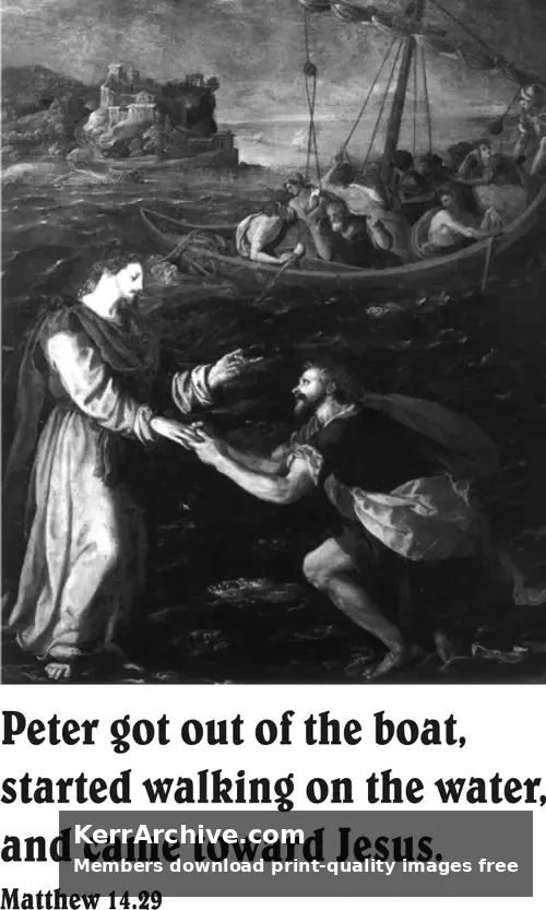 Year A After Pentecost Proper 14 (grayscale)
