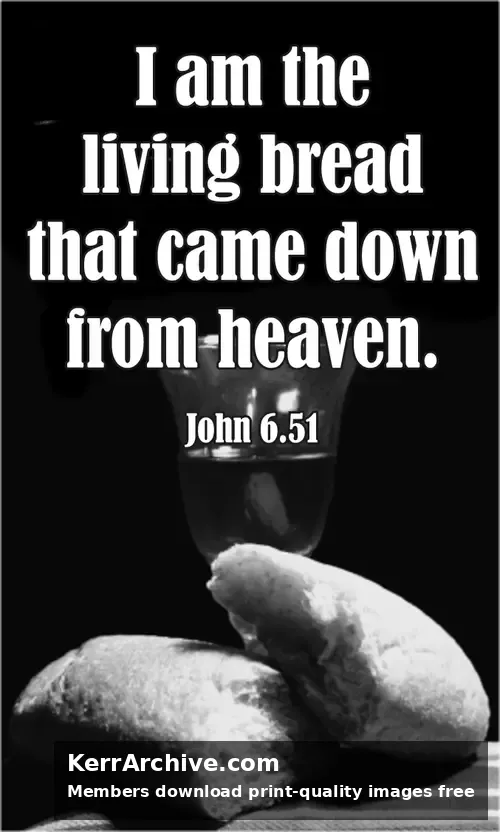 Year B After Pentecost Proper 14 (grayscale)