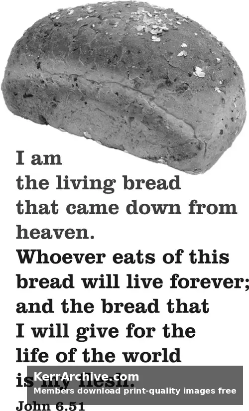 Year B After Pentecost Proper 14 (grayscale)
