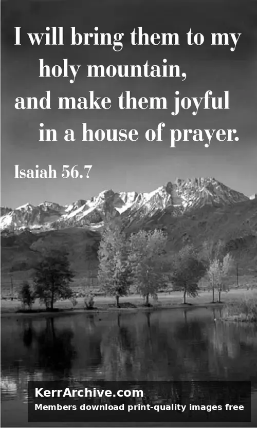 Year A After Pentecost Proper 15 (grayscale)