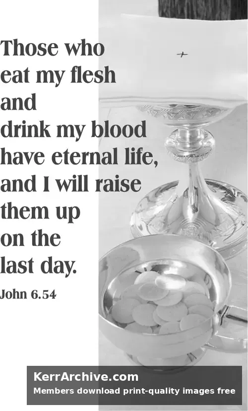 Year B After Pentecost Proper 15 (grayscale)