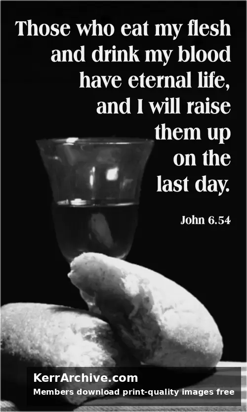 Year B After Pentecost Proper 15 (grayscale)
