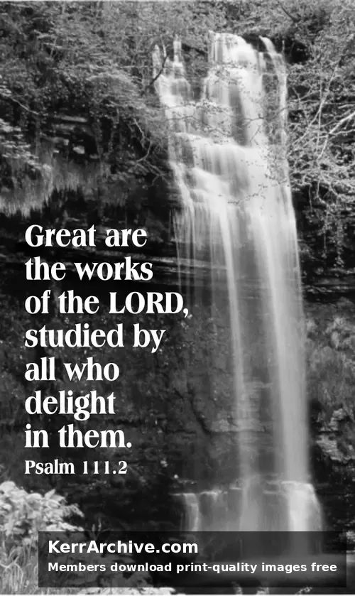Year B After Pentecost Proper 15 — Psalms 111:2 (grayscale)