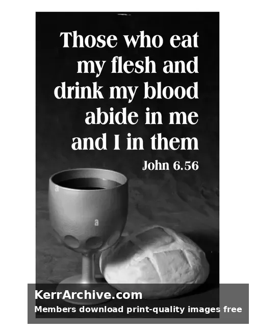 Year B After Pentecost Proper 15 — John 6:56 (grayscale)