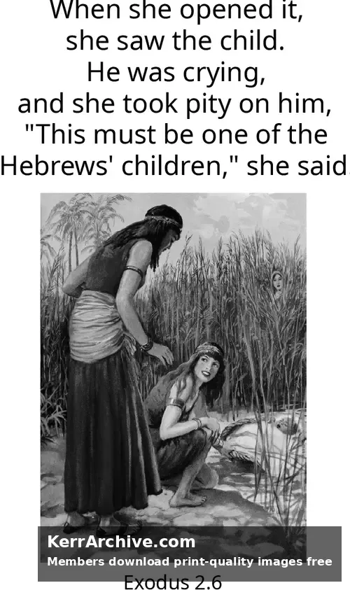 Year A After Pentecost Proper 16 (grayscale)