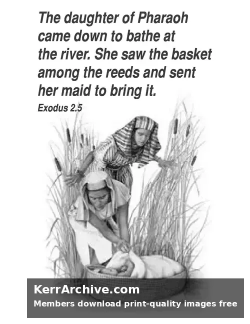 Year A After Pentecost Proper 16 — Exodus 2:5 (grayscale)