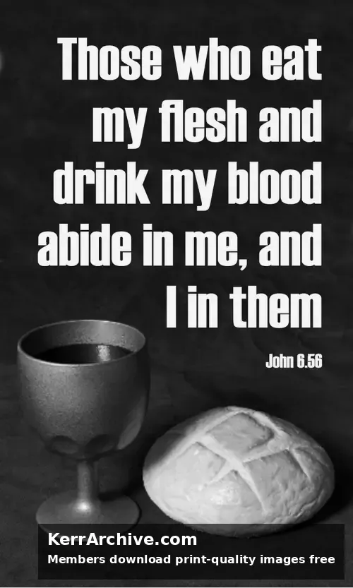 Year B After Pentecost Proper 16 — John 6:56 (grayscale)