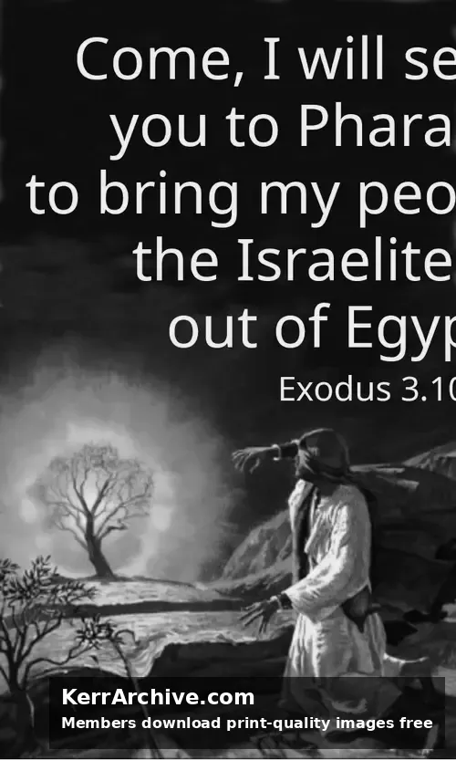 Year A After Pentecost Proper 17 (grayscale)