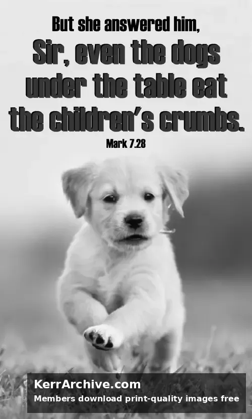 Year B After Pentecost Proper 18 — Mark 7:28 (grayscale)