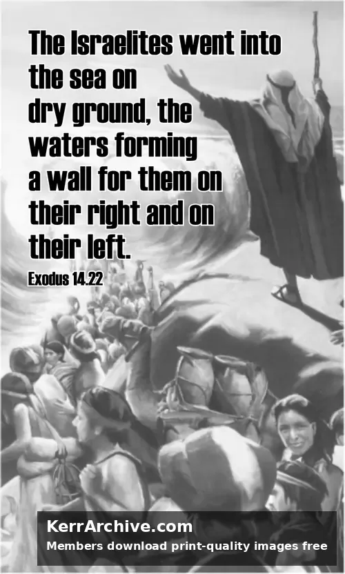 Year A After Pentecost Proper 19 (grayscale)
