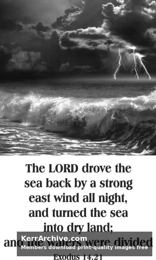 Year A After Pentecost Proper 19 — Exodus 14:21 (grayscale)