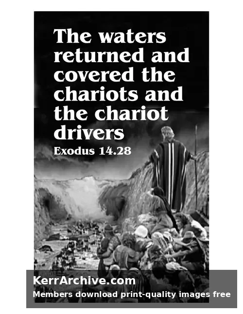 Year A After Pentecost Proper 19 — Exodus 14:28 (grayscale)