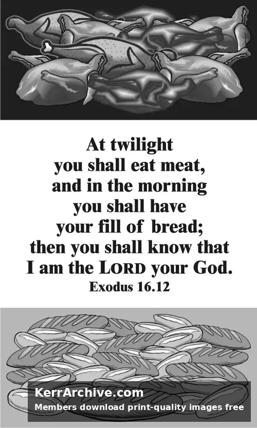 Year A After Pentecost Proper 20 (grayscale)