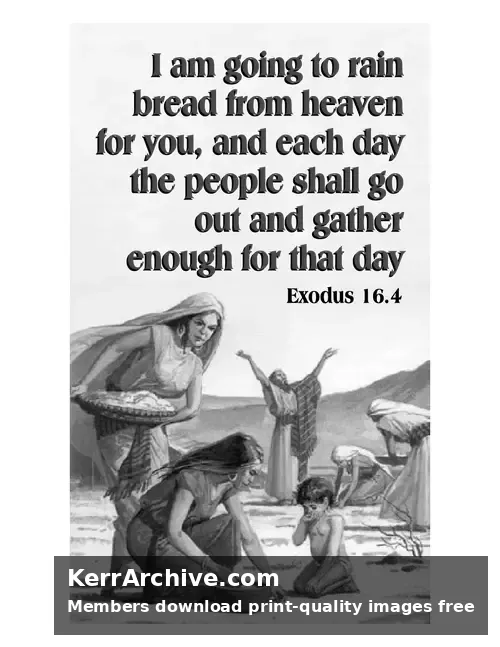 Year A After Pentecost Proper 20 — Exodus 16:4 (grayscale)