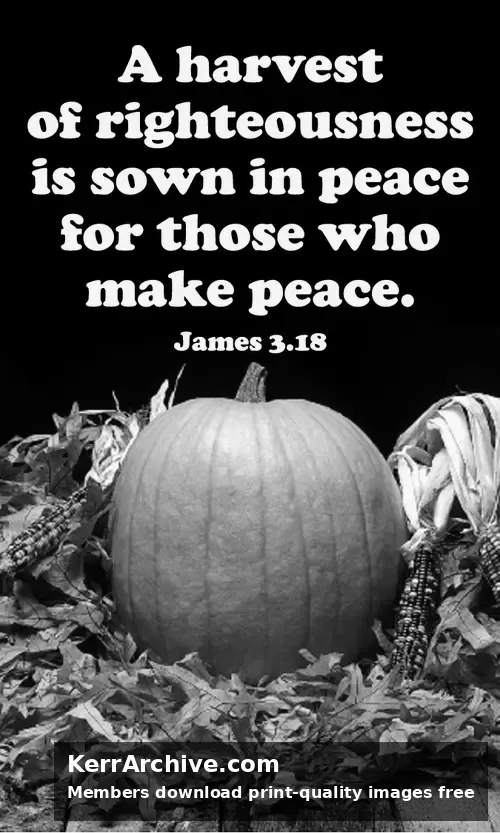 Year B After Pentecost Proper 20 — James 3:1 (grayscale)