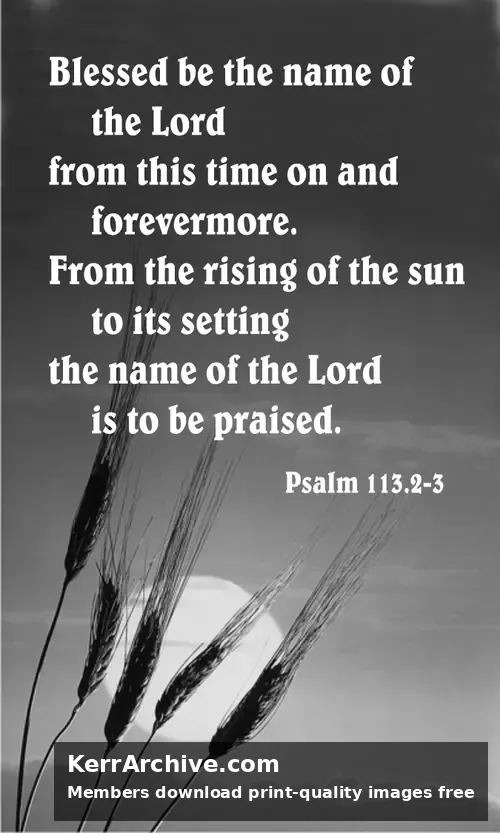 Year C After Pentecost Proper 20 (grayscale)