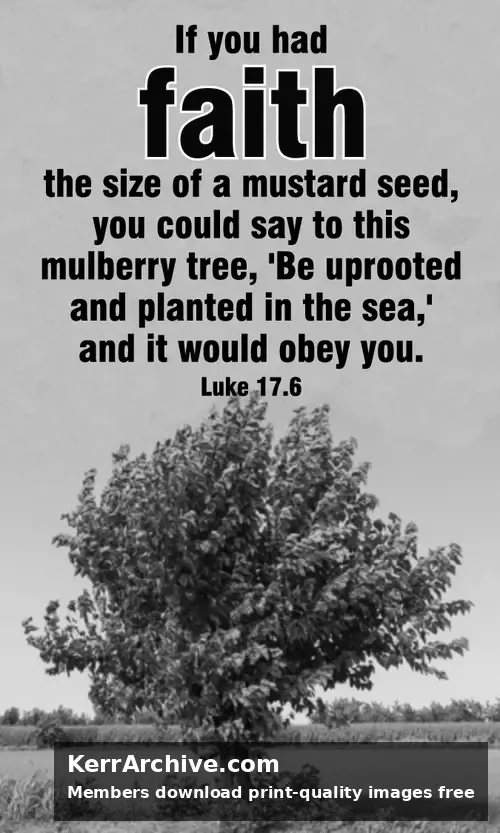 Year C After Pentecost Proper 22 — Luke 17:6 (grayscale)