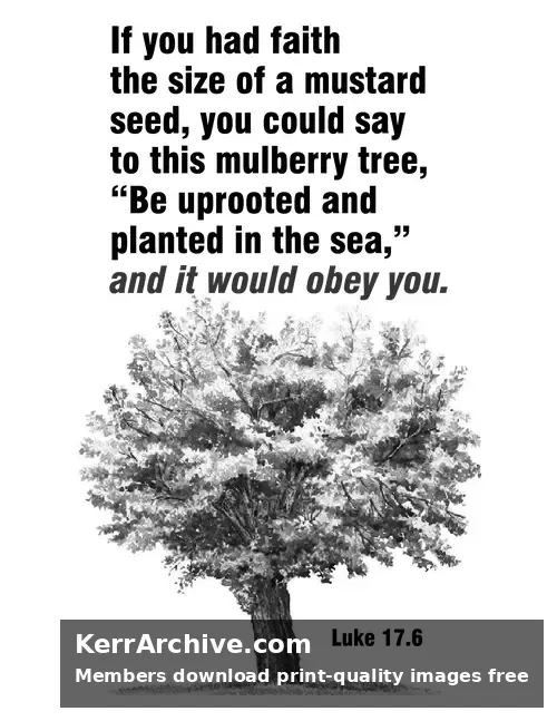 Year C After Pentecost Proper 22 — Luke 17:6 (grayscale)