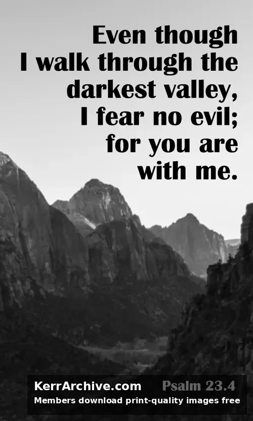 Year A After Pentecost Proper 23 — Psalms 23:4 (grayscale)