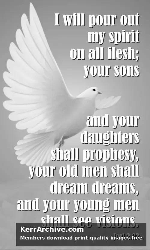 Year C After Pentecost Proper 25 — Joel 2:22 (grayscale)