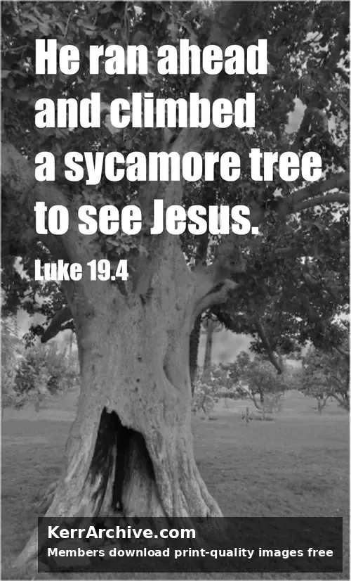 Year C After Pentecost Proper 26 (grayscale)
