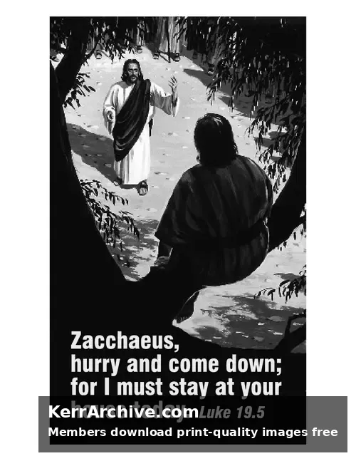 Year C After Pentecost Proper 26 — Luke 19:5 (grayscale)