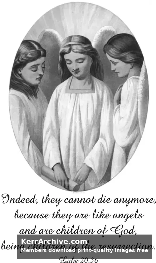 Year C After Pentecost Proper 27 (grayscale)