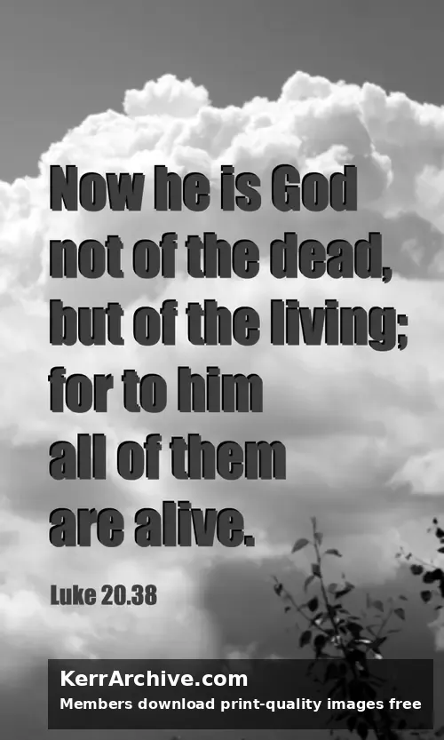 Year C After Pentecost Proper 27 — Luke 20:38 (grayscale)