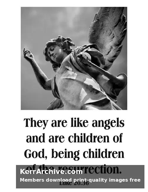 Year C After Pentecost Proper 27 — Luke 20:36 (grayscale)