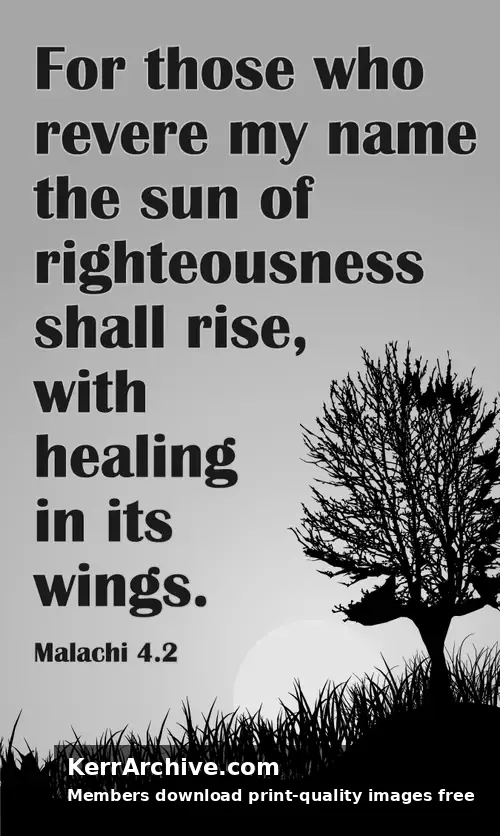 Year C After Pentecost Proper 28 (grayscale)