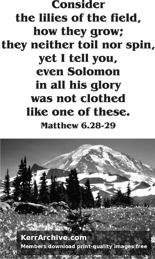 Year A Epiphany Eighth Sunday (grayscale)
