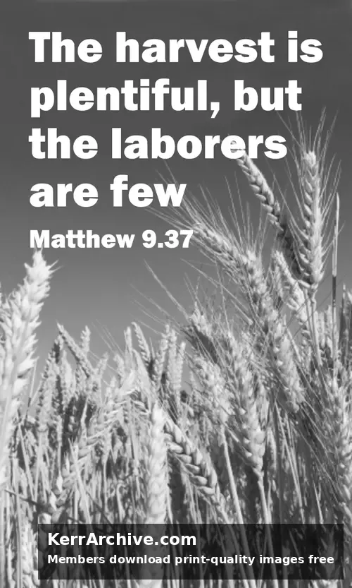 Year A After Pentecost Proper 6 — Matthew 9:23 (grayscale)