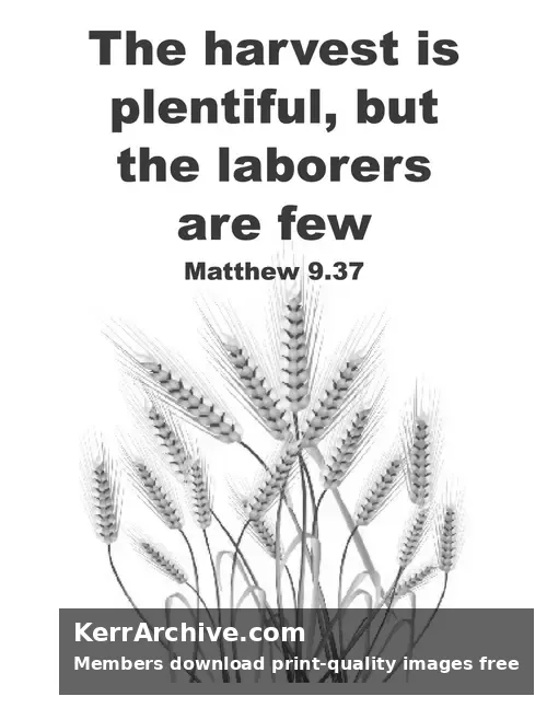 Year A After Pentecost Proper 6 — Matthew 9:37 (grayscale)