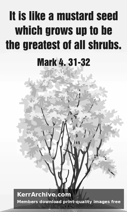 Year B After Pentecost Proper 6 (grayscale)