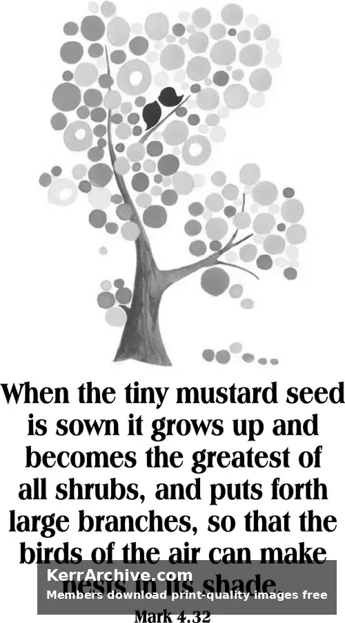Year B After Pentecost Proper 6 — Mark 4:32 (grayscale)