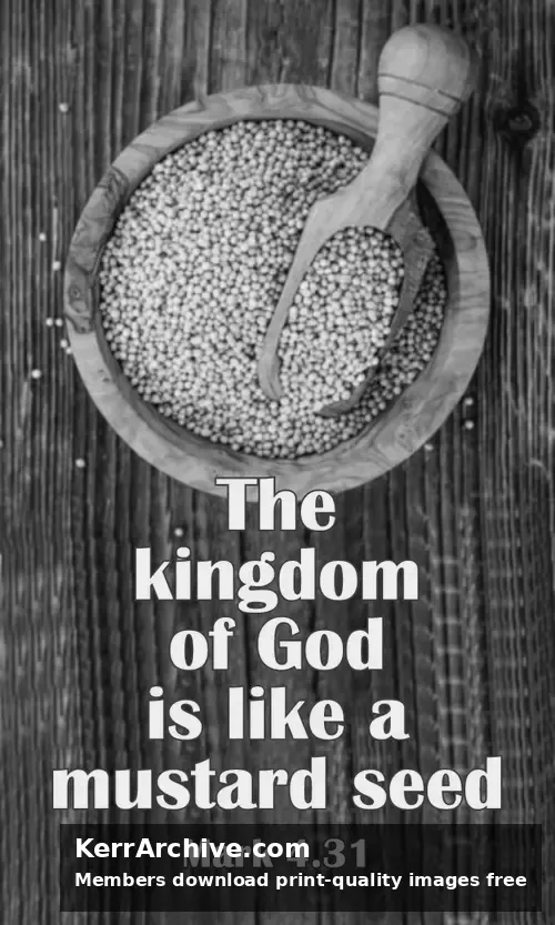 Year B After Pentecost Proper 6 — Mark 4:31 (grayscale)