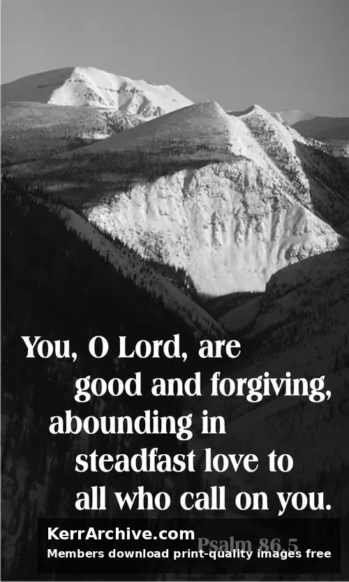 Year A After Pentecost Proper 7 (grayscale)
